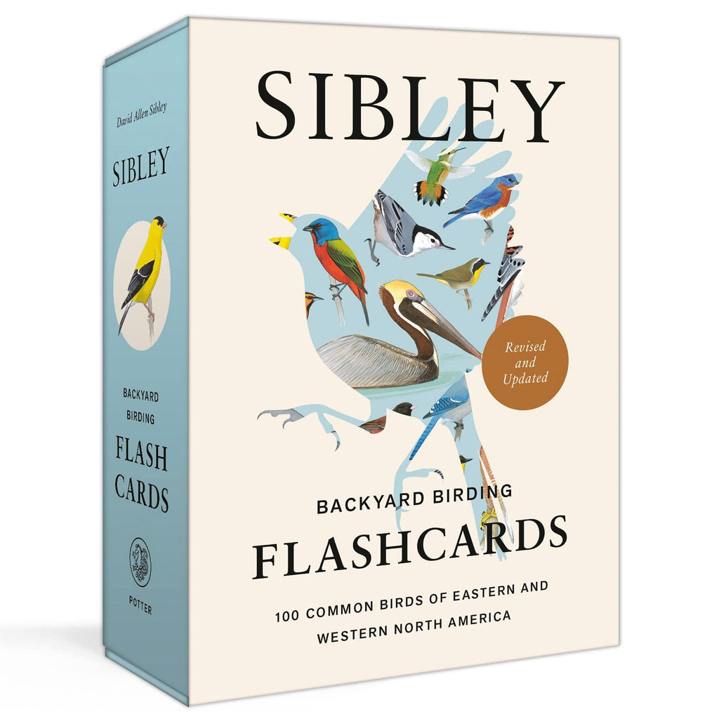 Sibley Backyard Birding Flashcards.