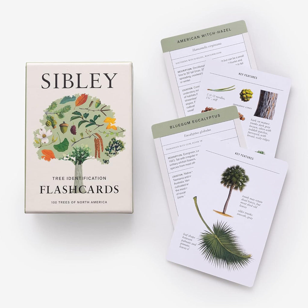 Sibley Tree Identification Flashcards with box.
