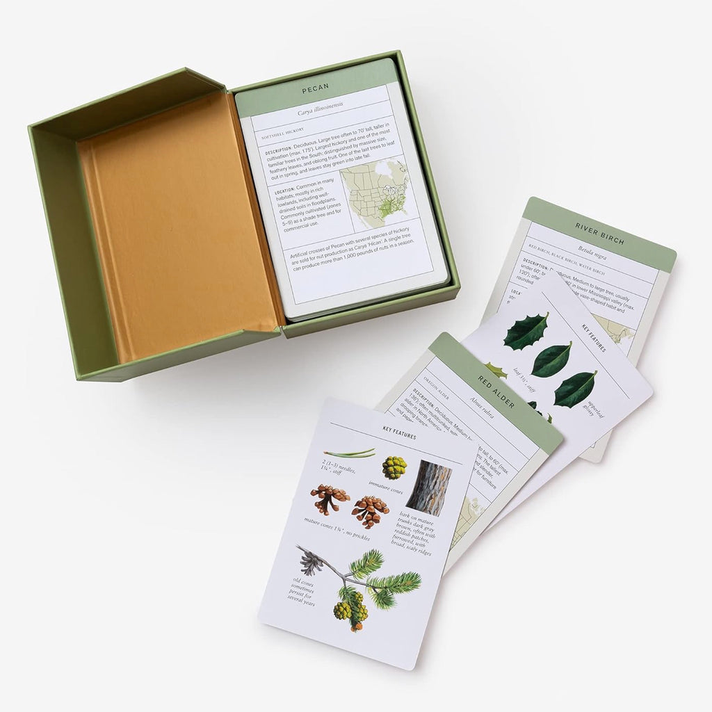 Sibley Tree Identification Flashcards with open box.