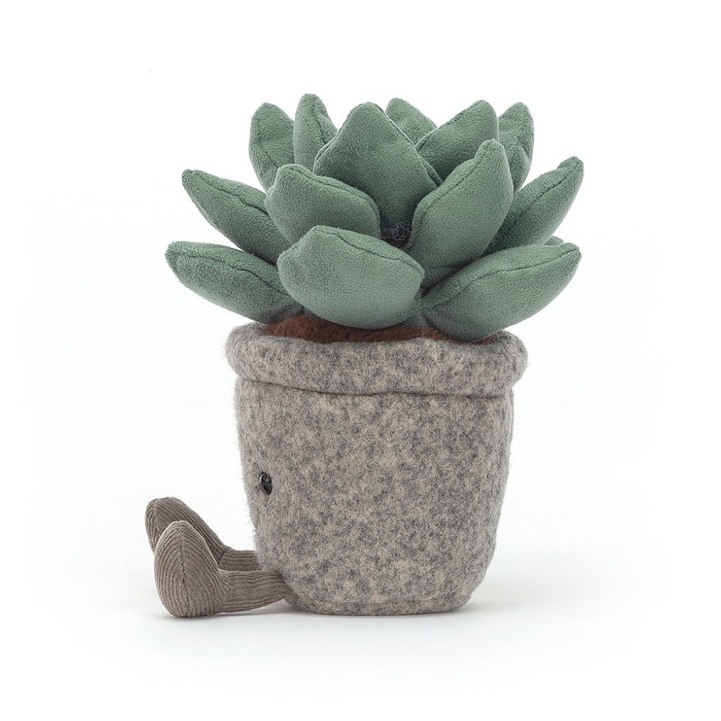 Silly Succulent Azulita Side