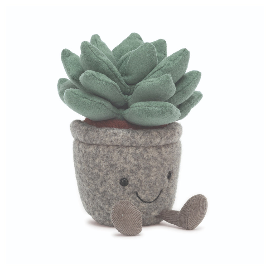 Silly Succulent Azulita