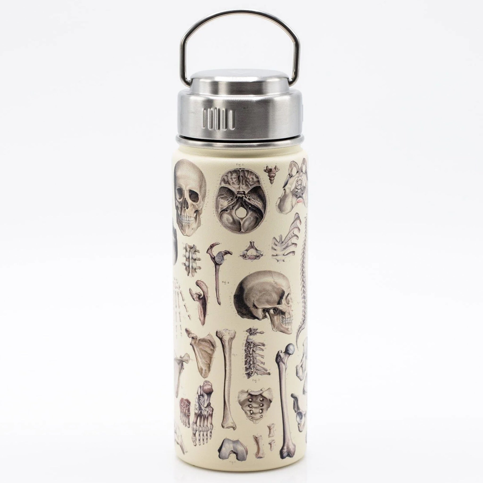 Mueller molecularshirts.com Stainless Water Bottle