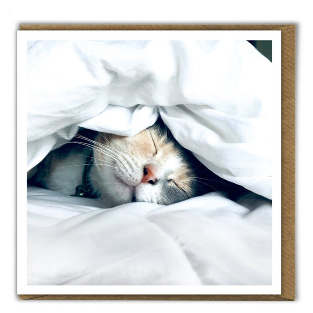 Sleeping Cat Blank Card.