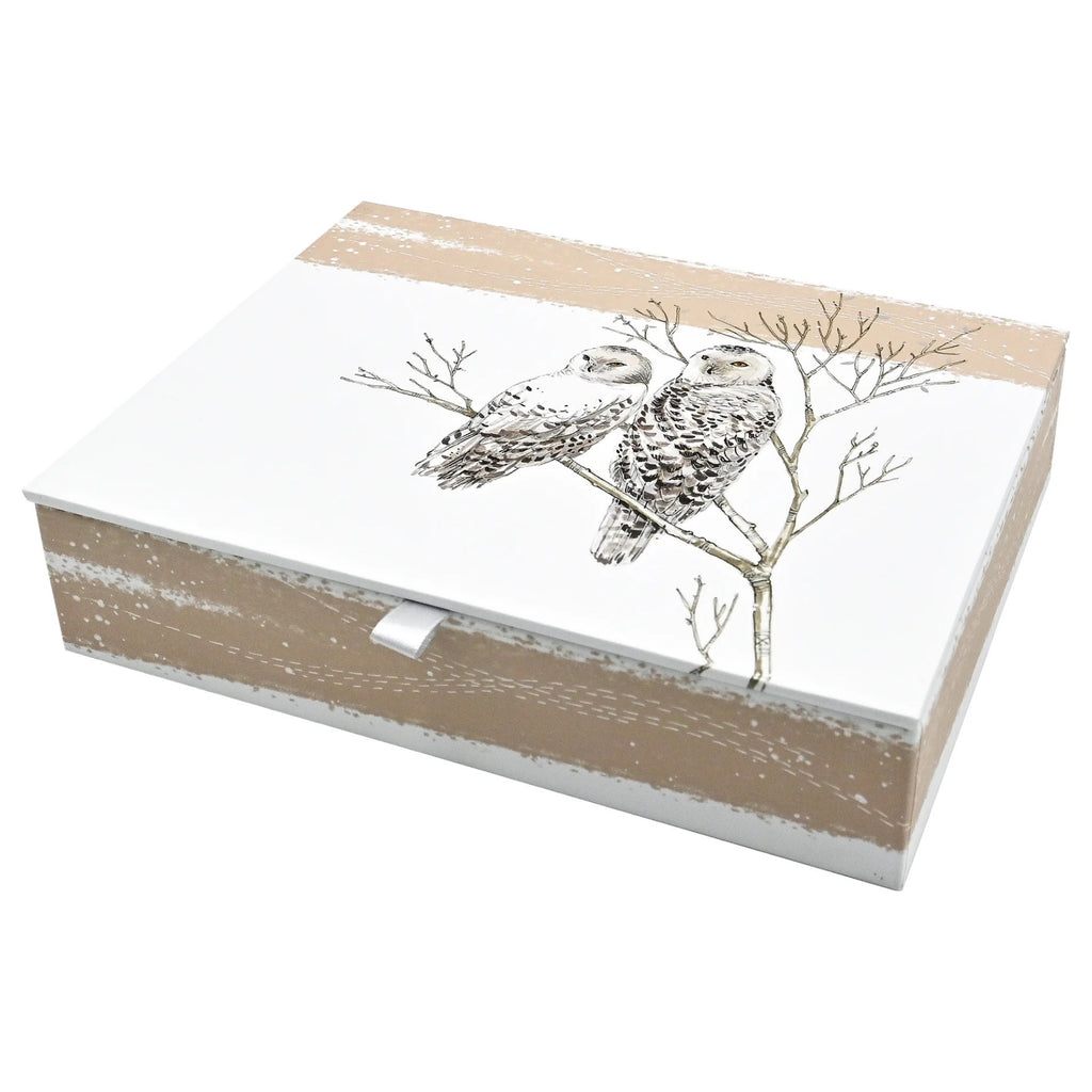 Snowy Owls Boxed Holiday Cards closed box.