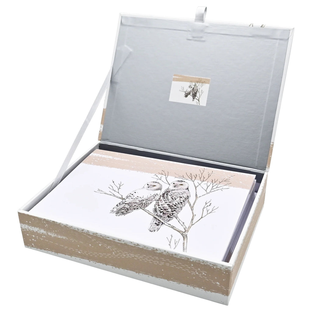 Snowy Owls Boxed Holiday Cards open box.