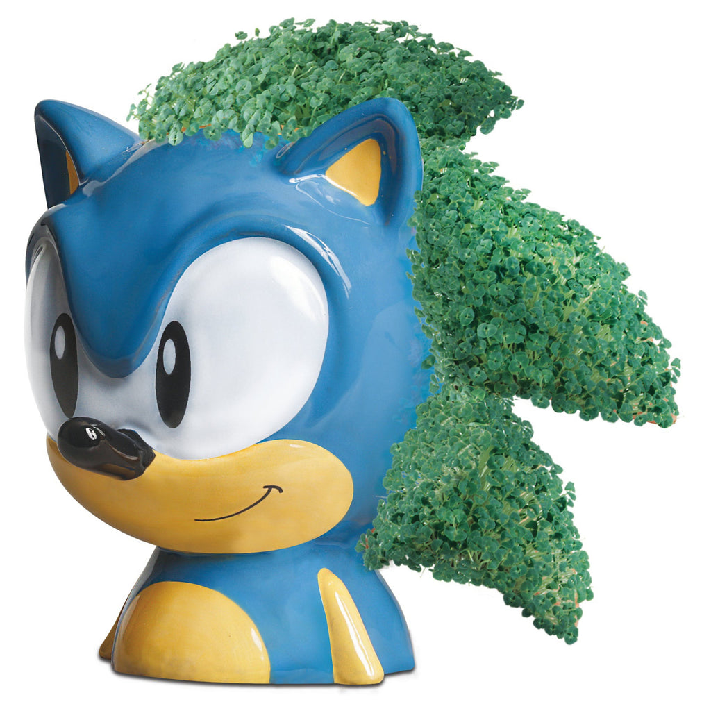 Sonic The Hedgehog Chia Lifestyle