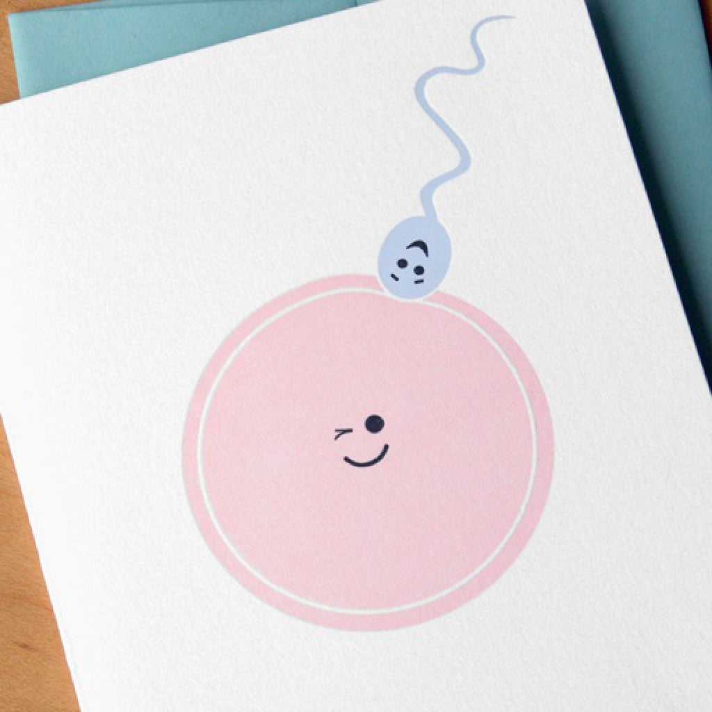 Sperm & Egg Card angle shot