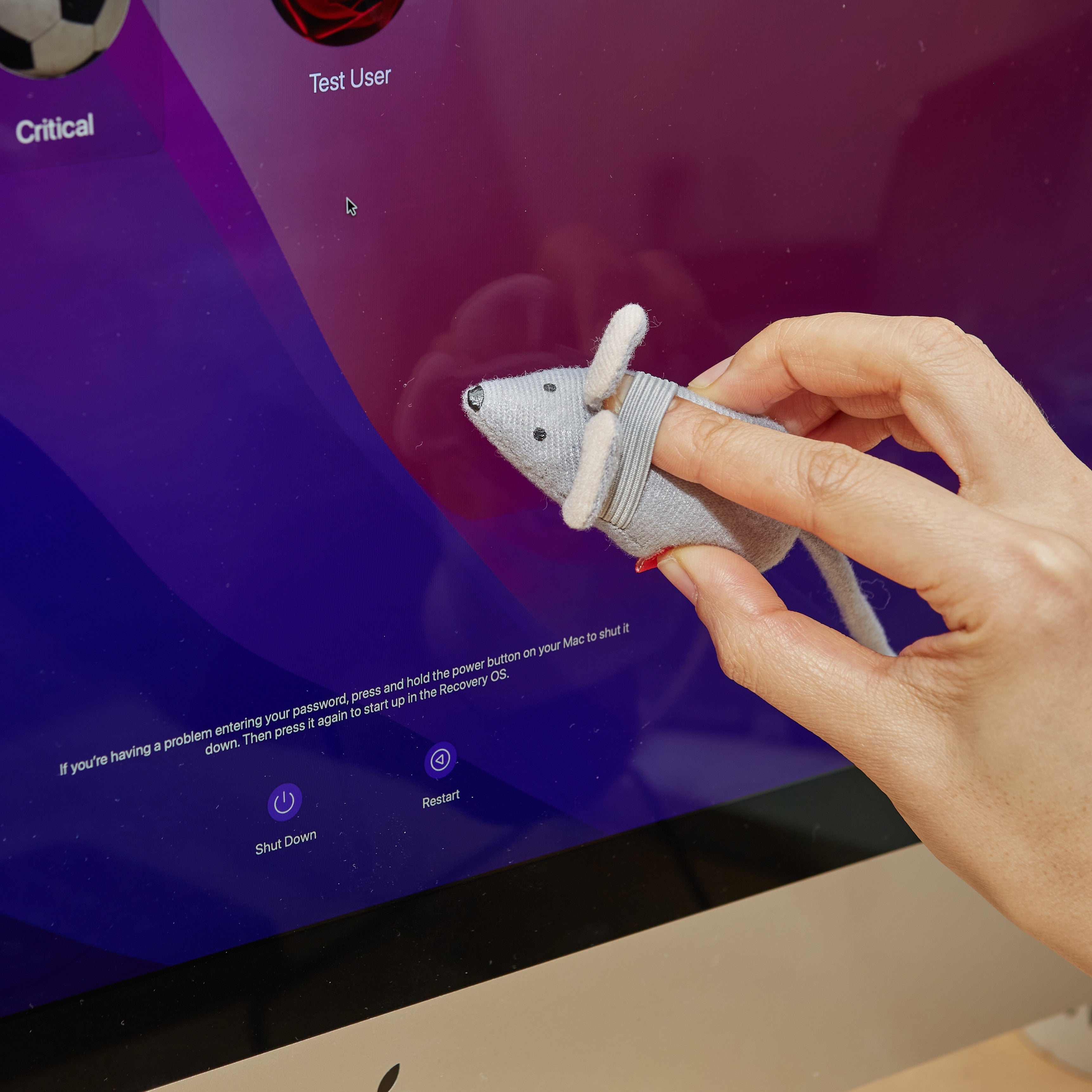 Squeaky Clean Mouse | Kikkerland – Outer Layer