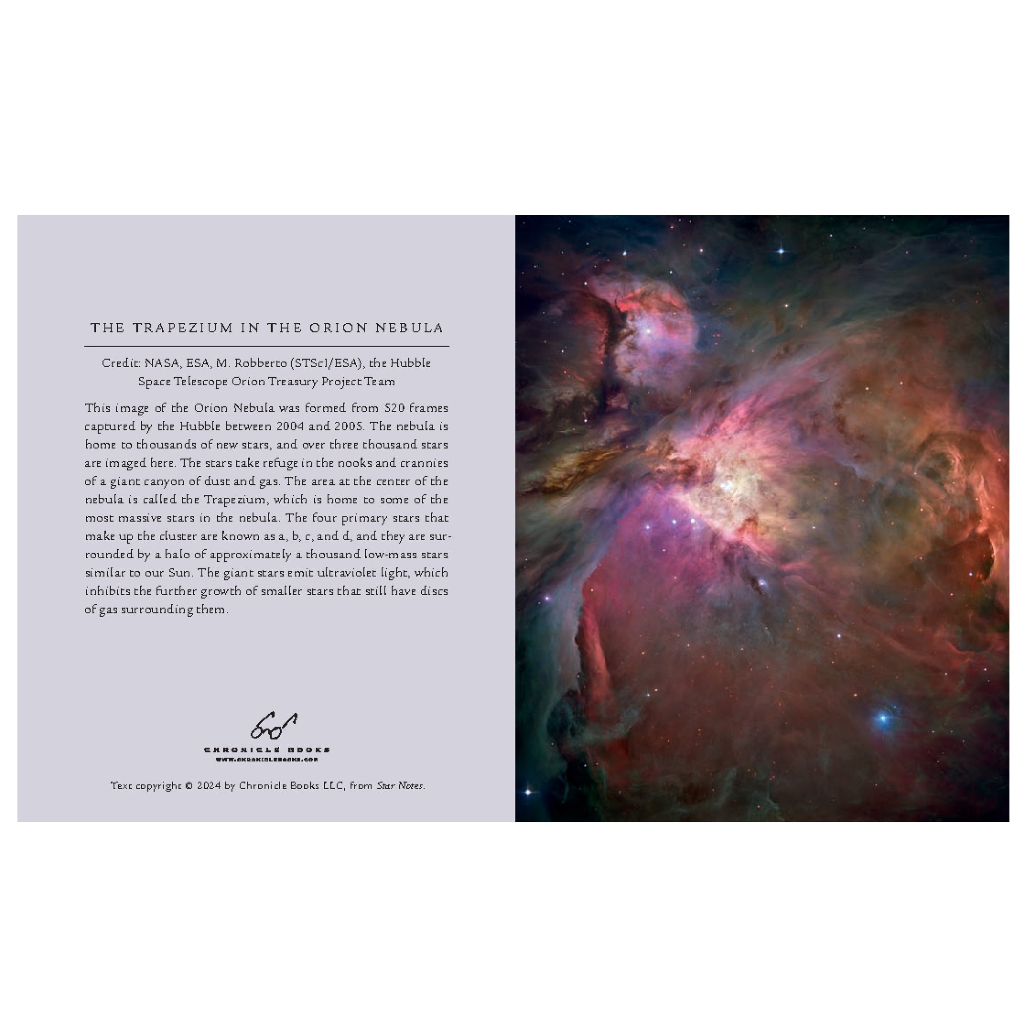 Star Notes Example Star Notes | Chronicle Books – Outer Layer