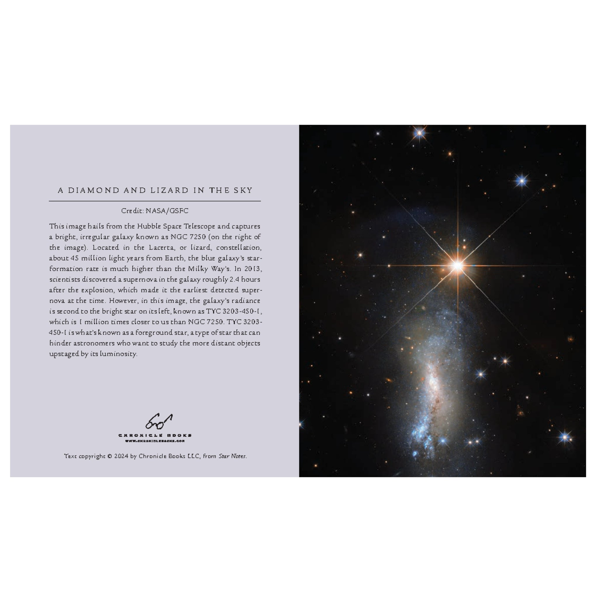 Star Notes Example Star Notes | Chronicle Books – Outer Layer