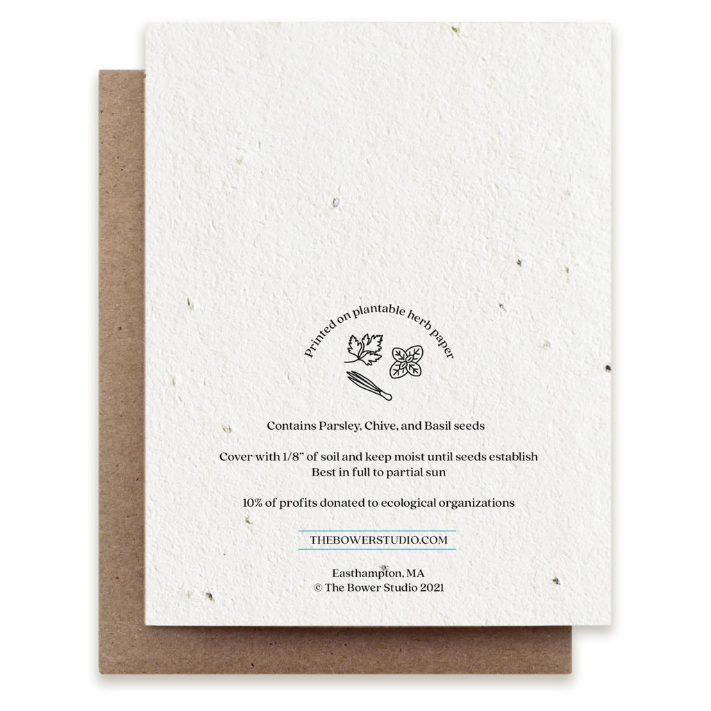 Summer Plovers Birds Seed Paper Card Back.