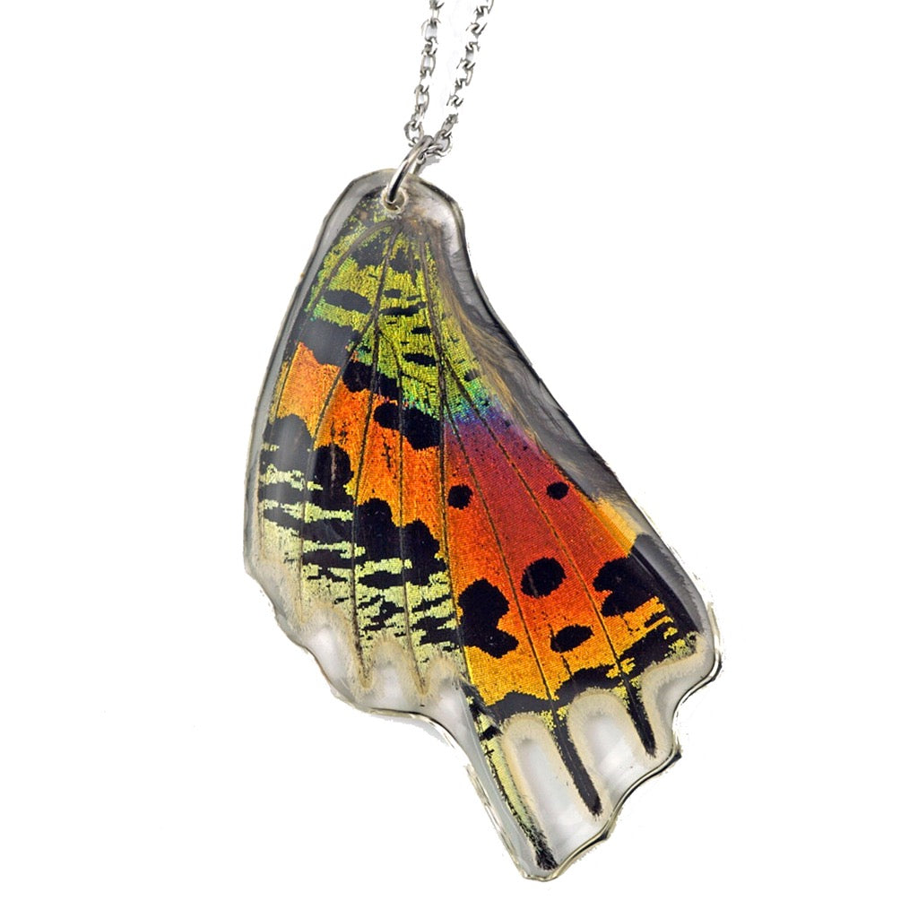 Sunset Moth Hind Wing Necklace Silver.
