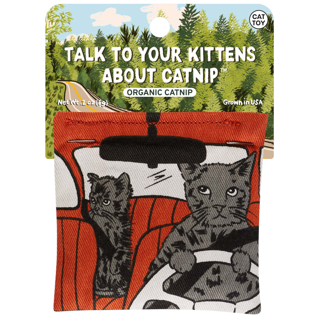 Talk To Your Kittens Catnip Toy.