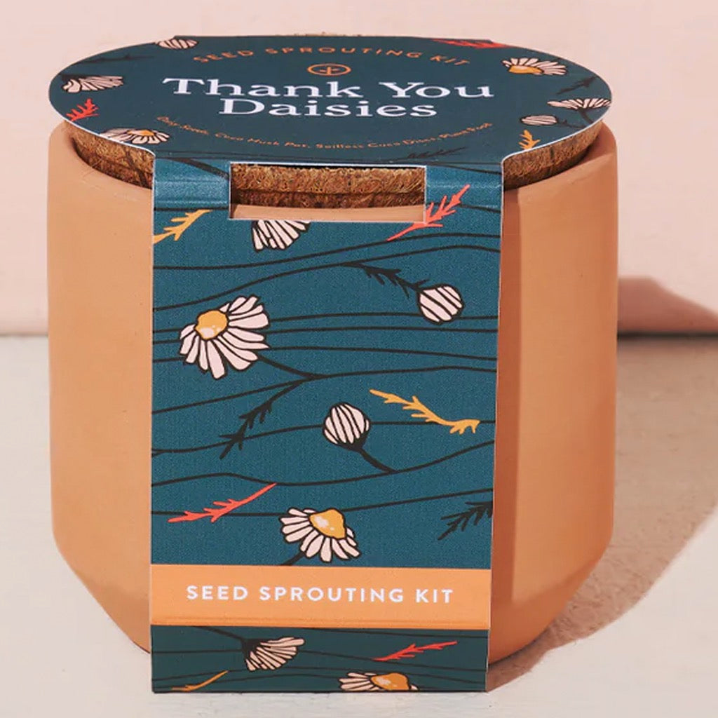 Thank You Daisies Tiny Terracotta Kit.