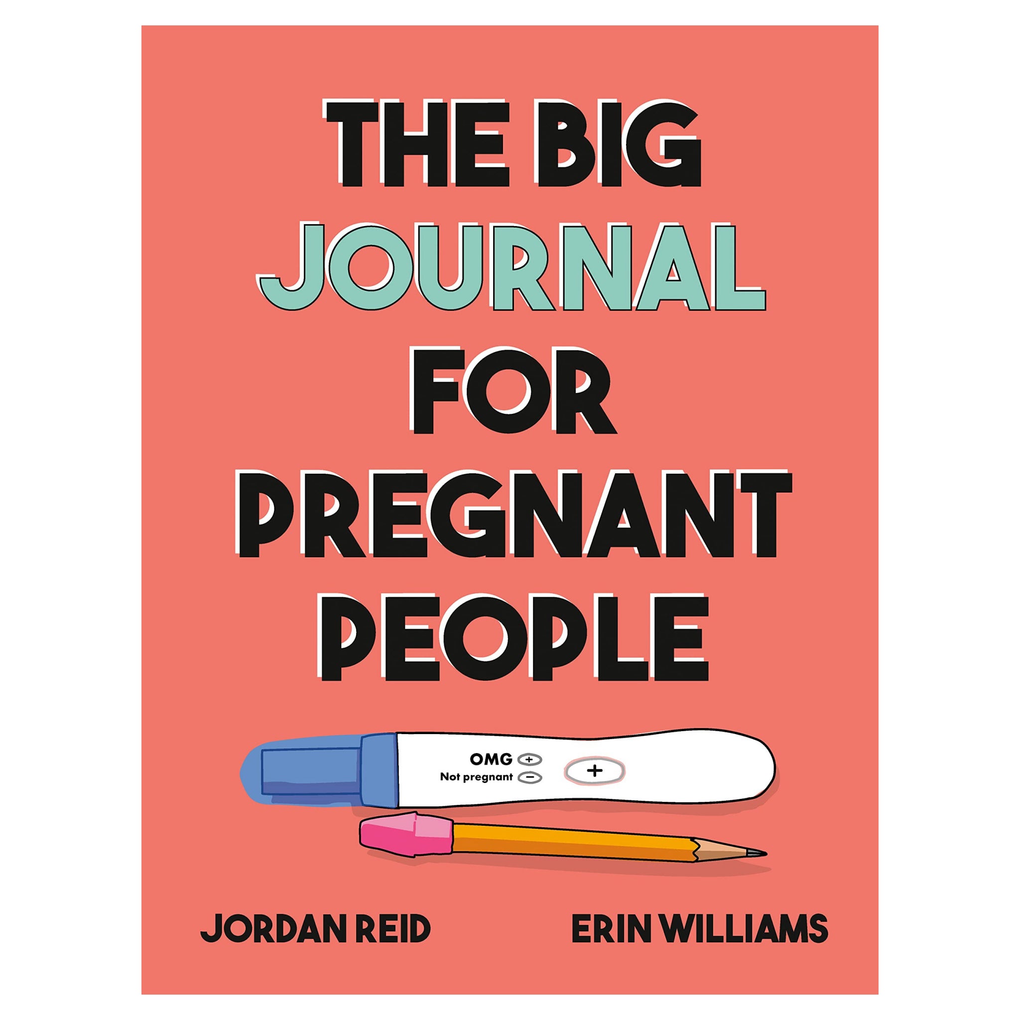 The Big Journal for Pregnant People | TarcherPerigee