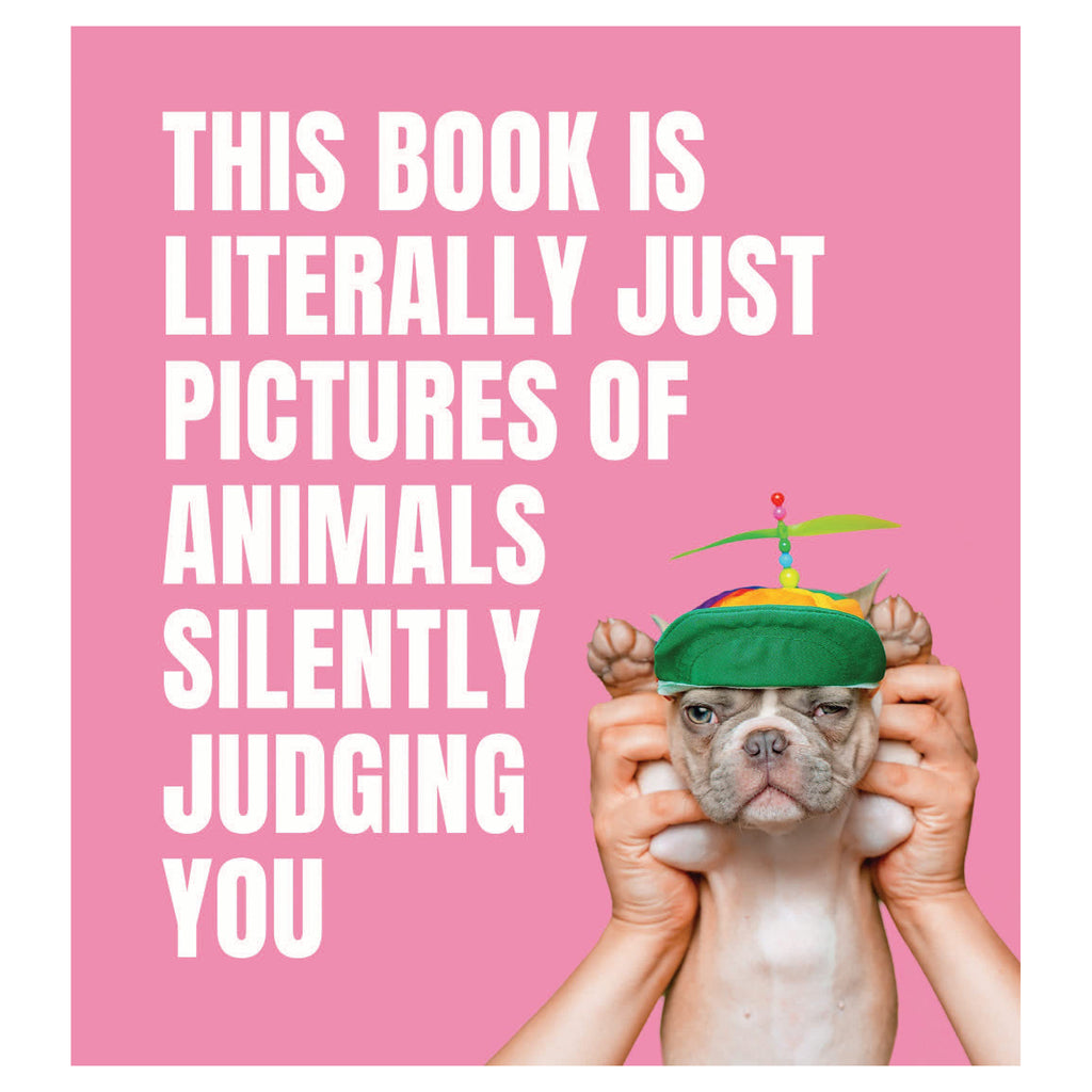 This Book is Literally Just Pictures of Animals Silently Judging You