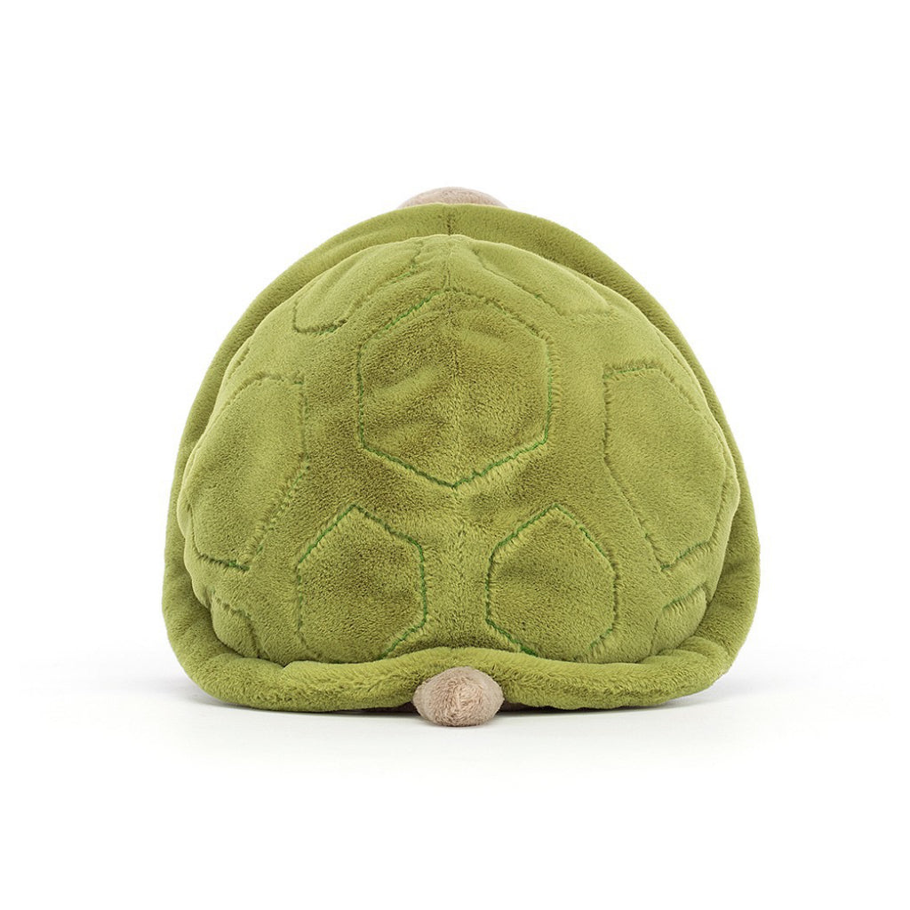 Timmy Turtle back view.