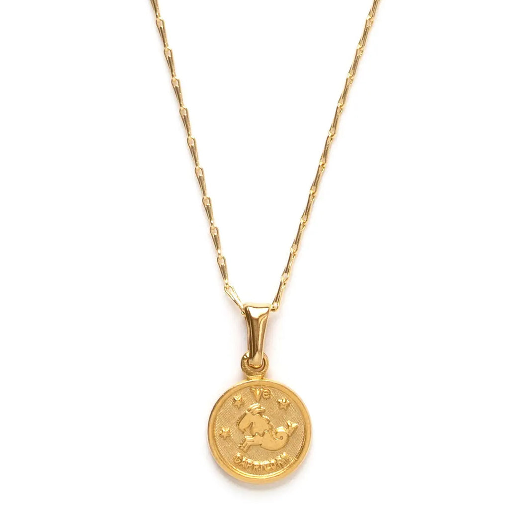 Tiny Zodiac Medallion Necklace - Capricorn.