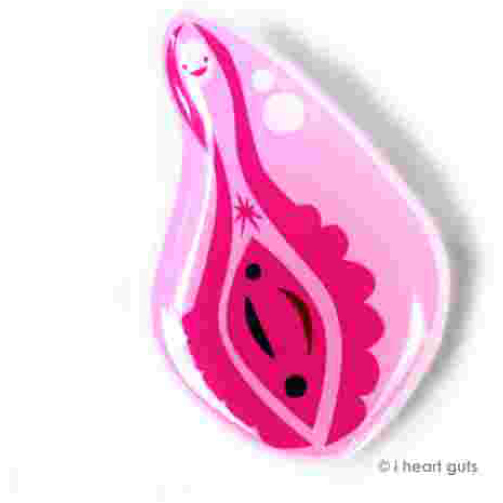 Vagina Lapel Pin
