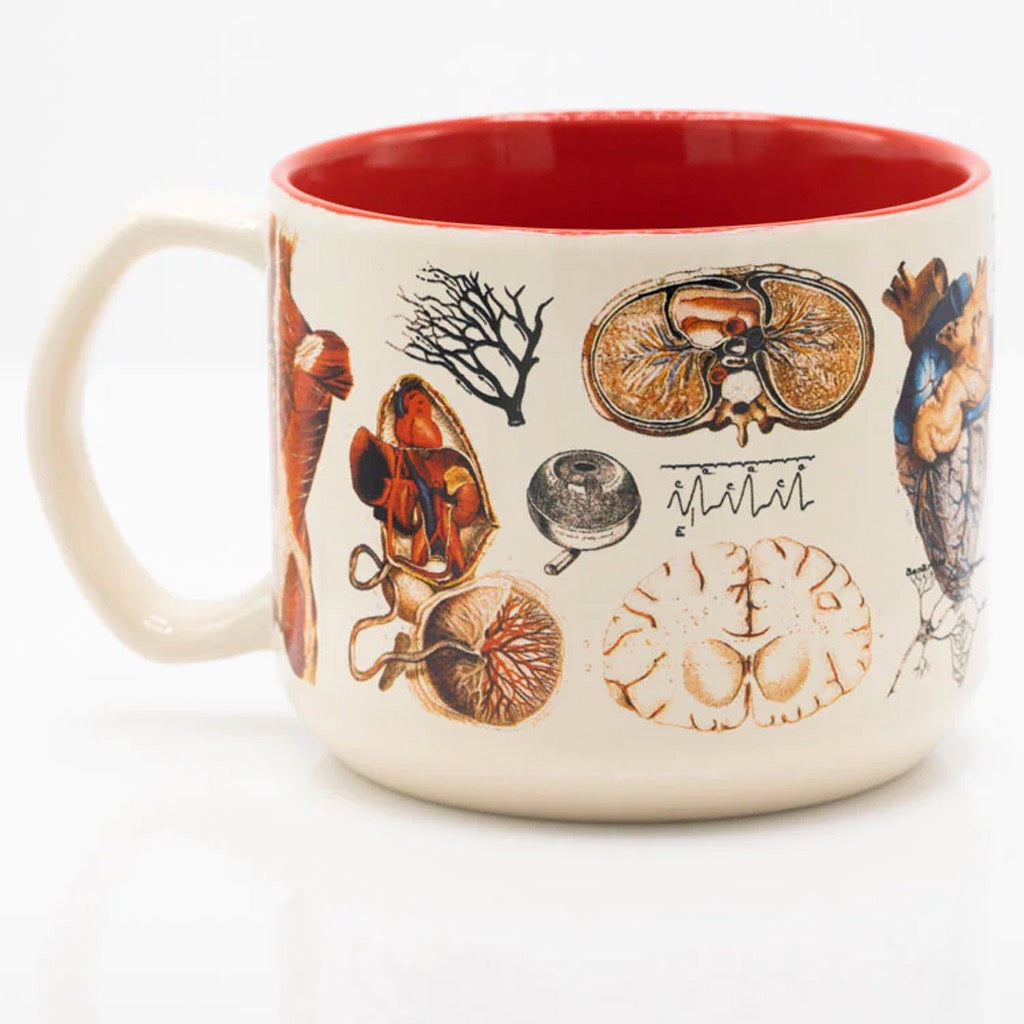 Vascular Anatomy 15 oz Ceramic Mug | Cognitive Surplus – Outer Layer