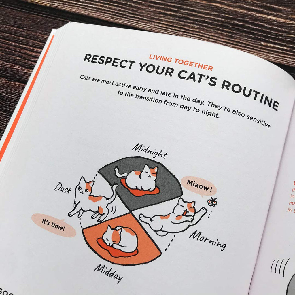 What Cats Want routine page.