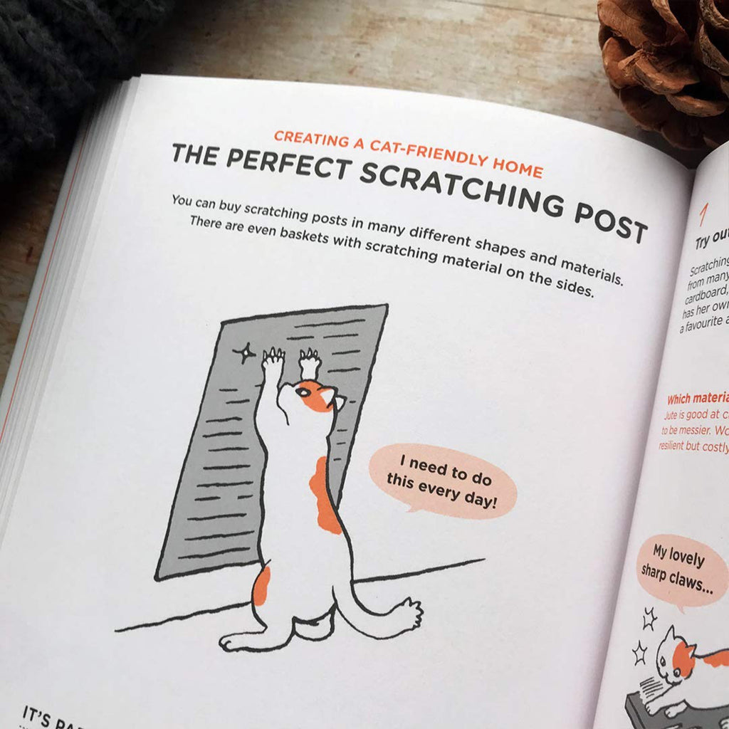 What Cats Want scratching post page.