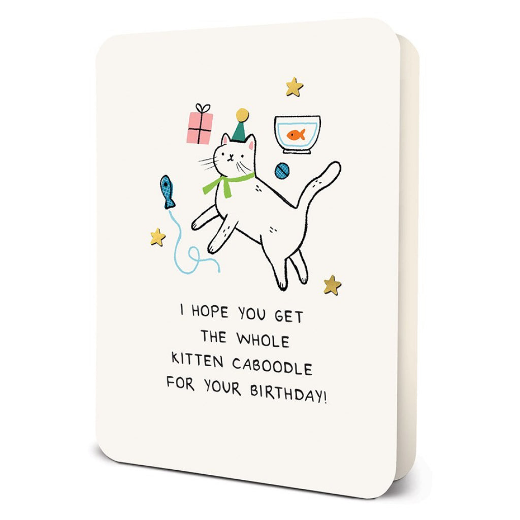 Whole Kitten Caboodle Birthday Card