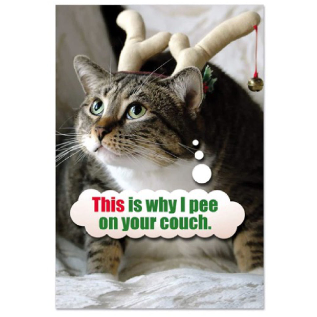 Why Cat Pees On Couch Card