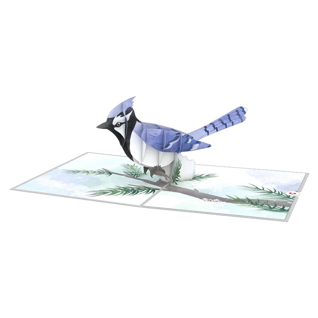 Winter Blue Jay 3D Pop-Up Card front view.