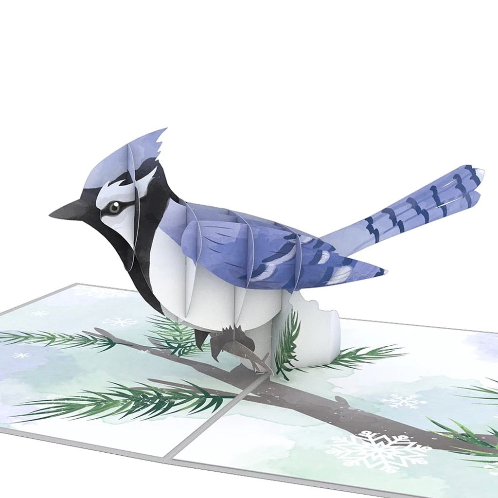 Winter Blue Jay 3D Pop-Up Card.