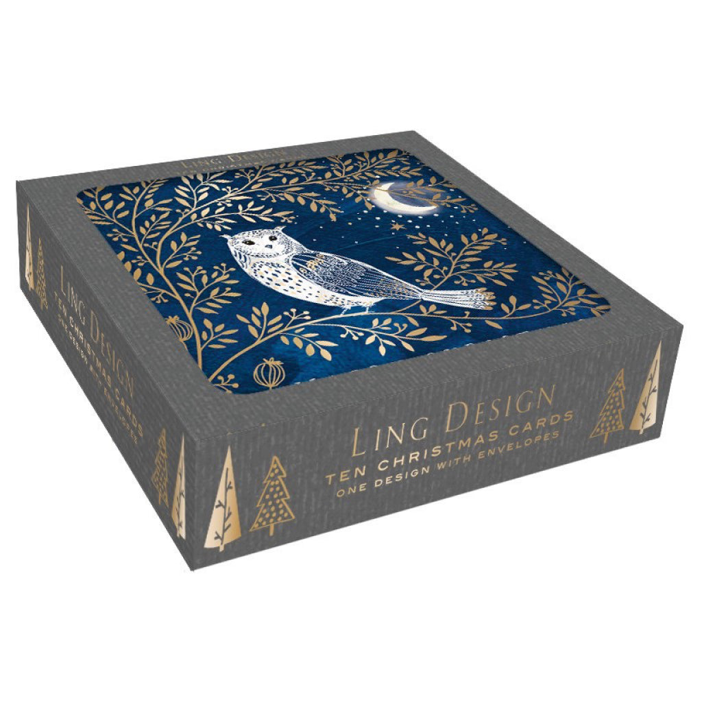 Winter Owl Boxed Christmas Cards Packaging