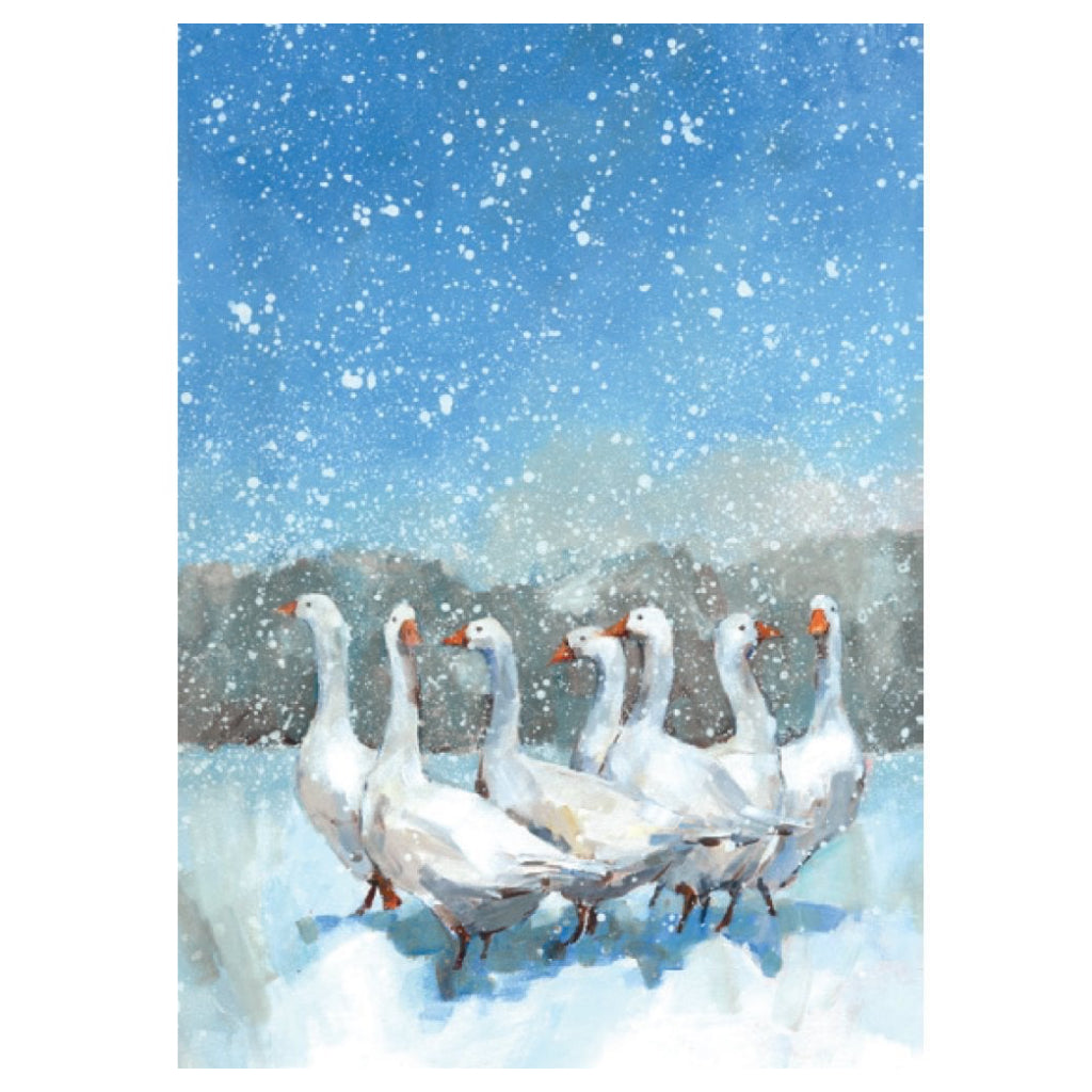 Winter Wildlife Boxed Christmas Cards Geese