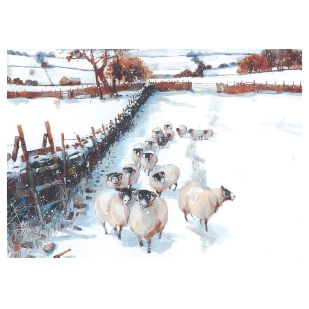 Winter Wildlife Boxed Christmas Cards Sheep
