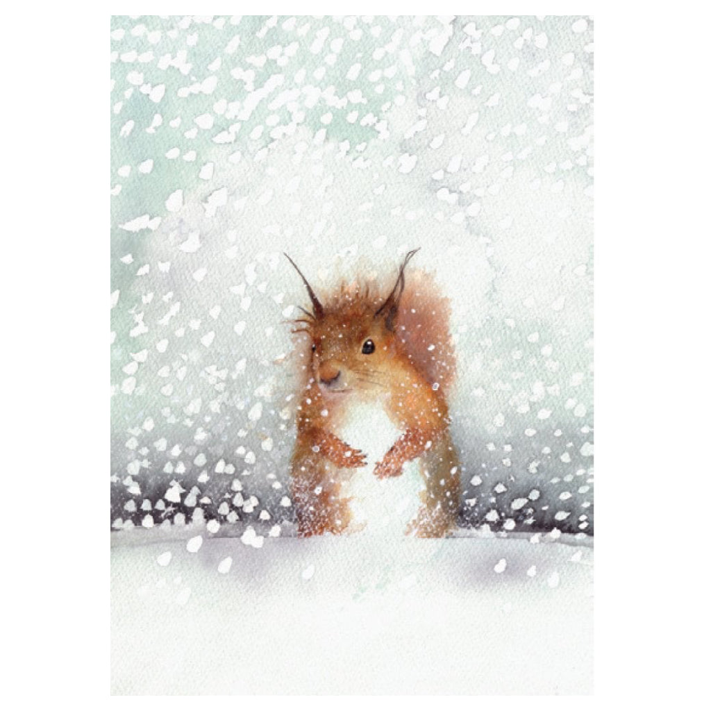 Winter Wildlife Boxed Christmas Cards Squirrel
