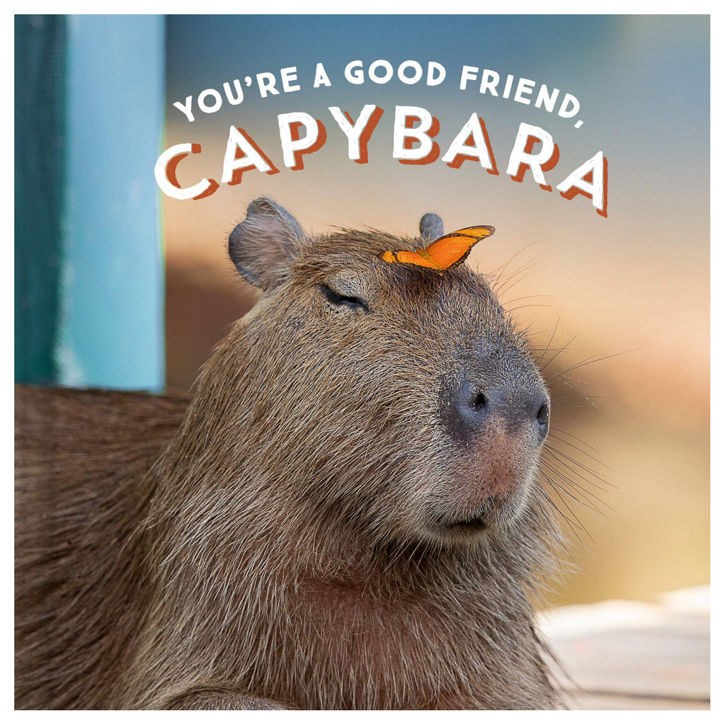 Youre a Good Friend Capybara