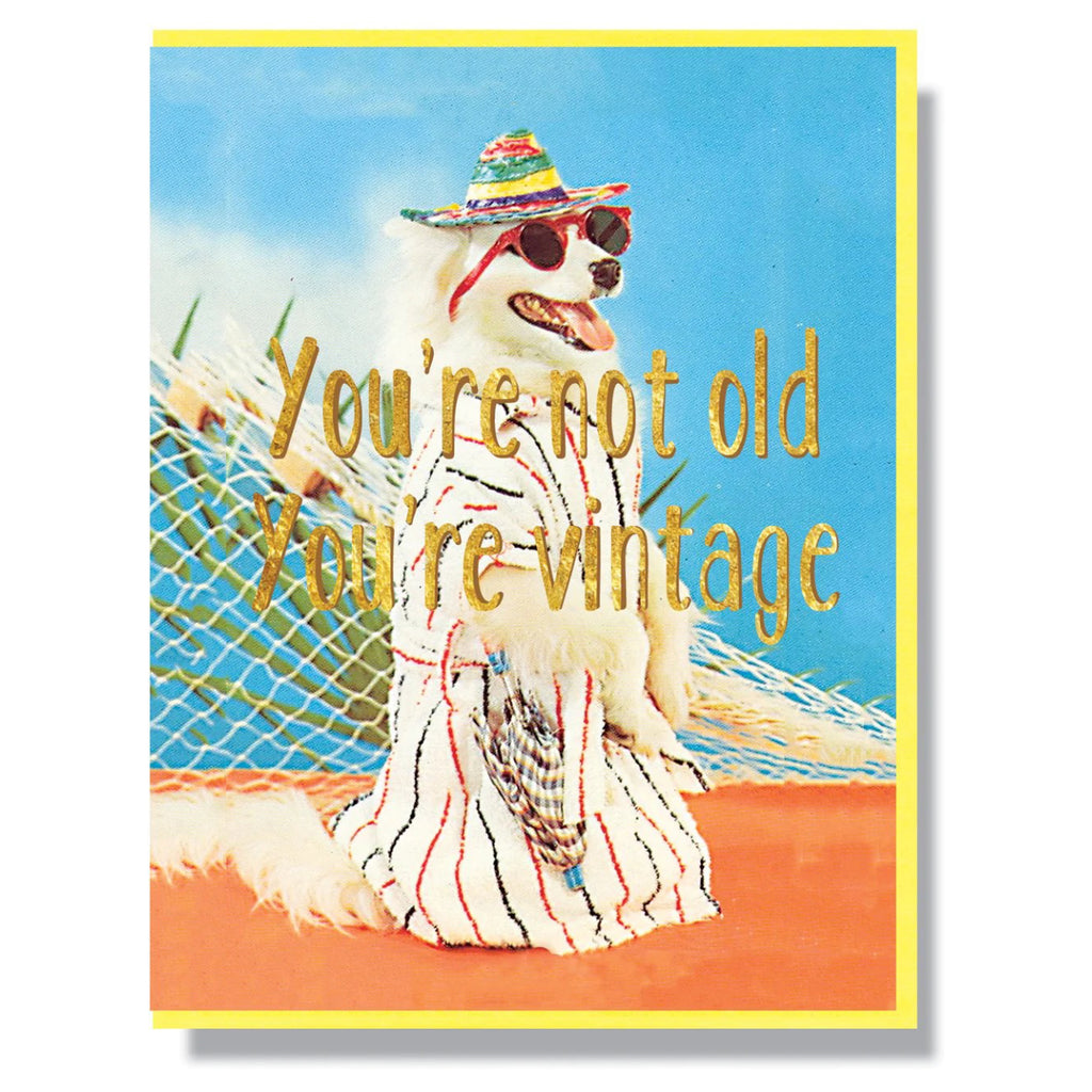 You're Not Old You're Vintage Card.