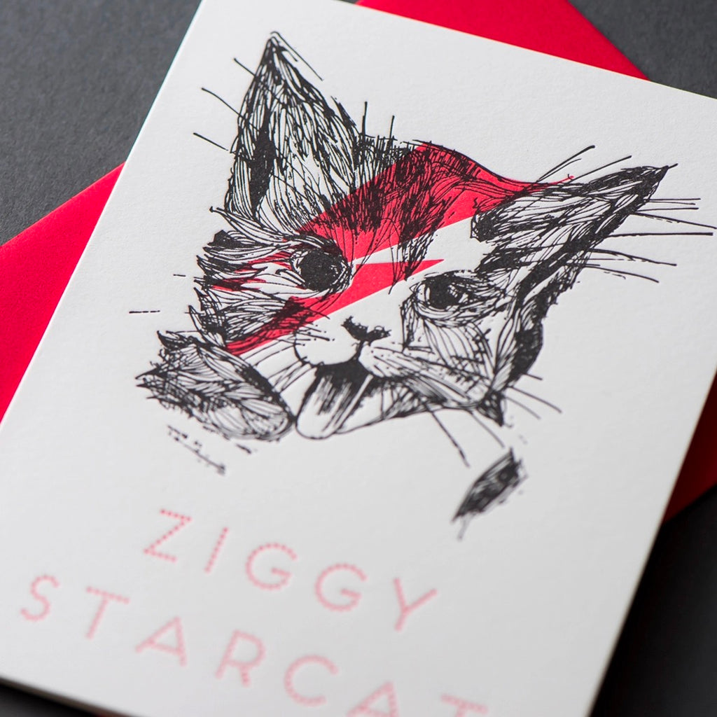 Ziggy Star Cat Card detail.