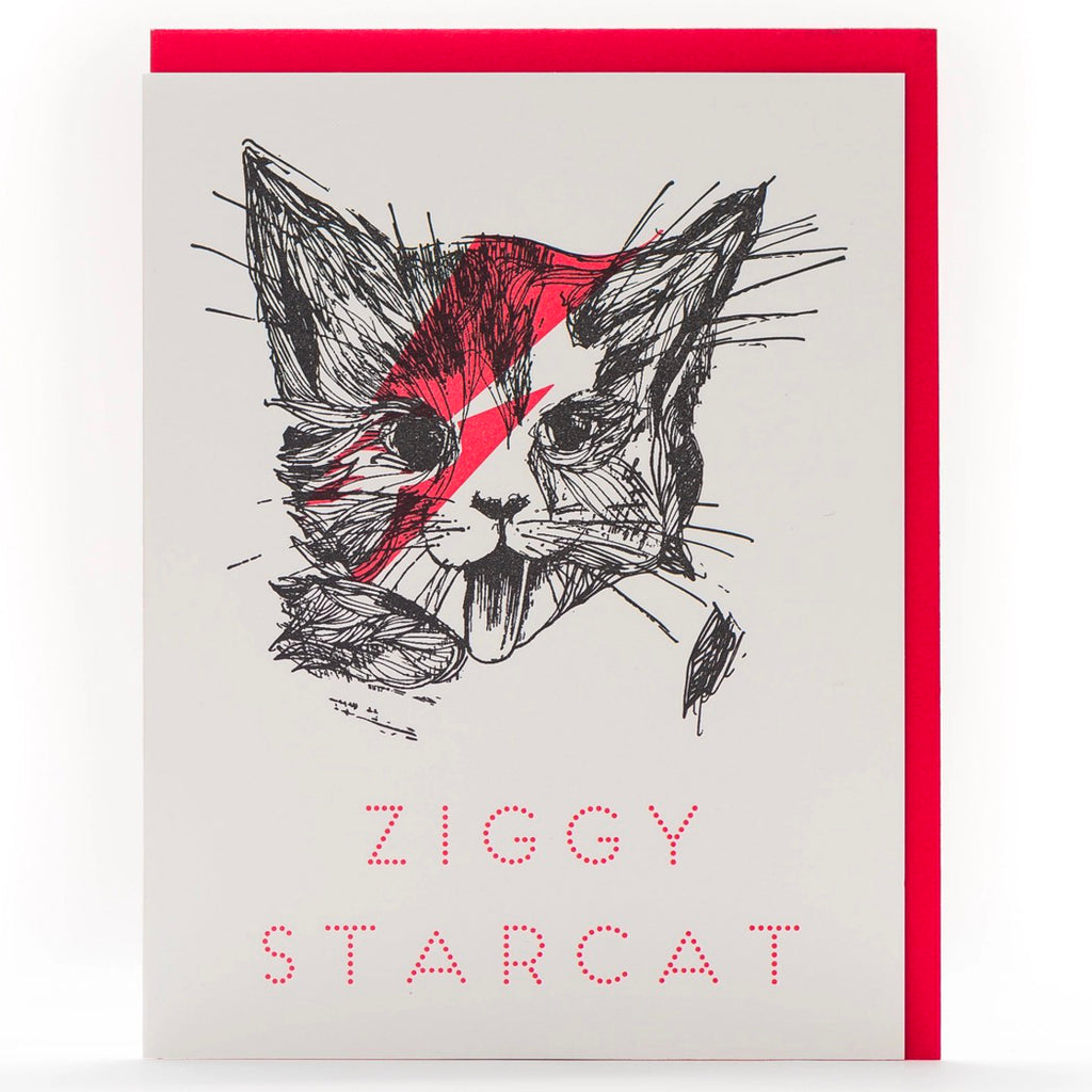 Ziggy Star Cat Card.