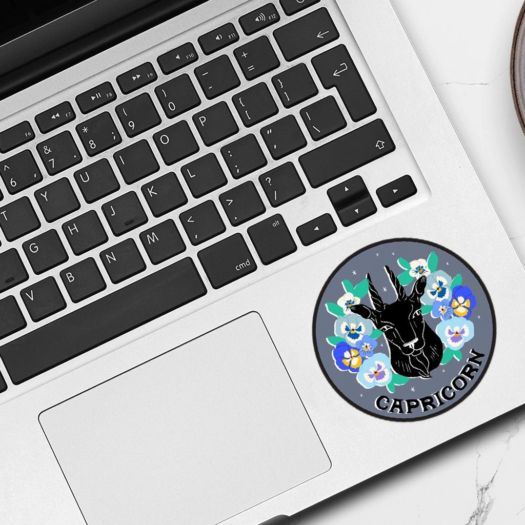 Zodiac Sticker: Capricorn on computer.